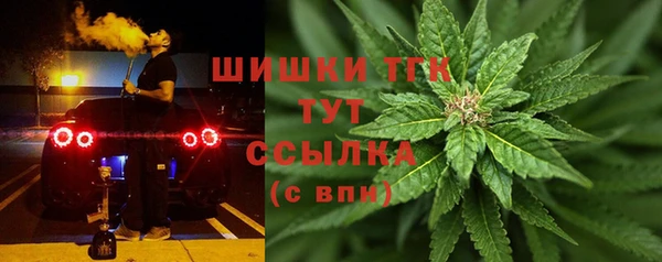 трава Арсеньев