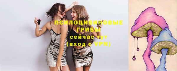 трава Арсеньев