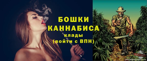 трава Арсеньев