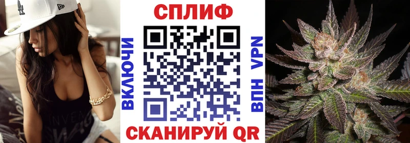 Каннабис сатива  Свирск 